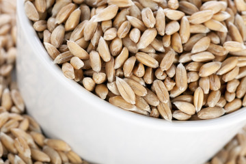 Close-up Spelt Seeds