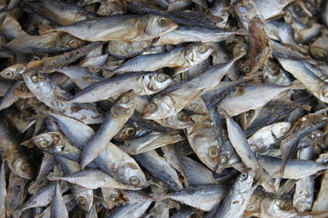 Dried salted mackerels