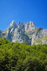 Fototapeta na wymiar Fuente de lodowiec koło. Picos de Europa, Kantabria, Hiszpania