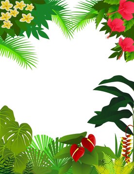 tropical background
