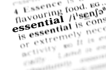 essential (the dictionary project)