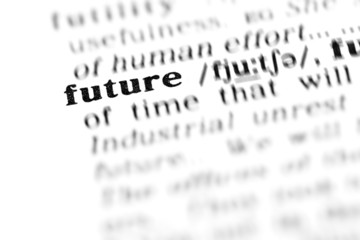 future (the dictionary project)