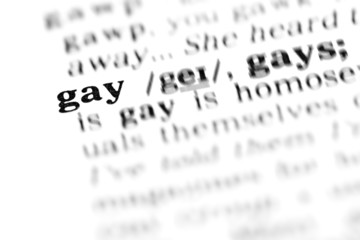 Fototapeta premium gay (the dictionary project)