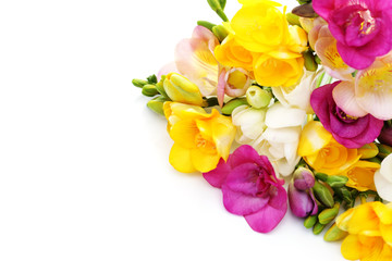 freesia flowers