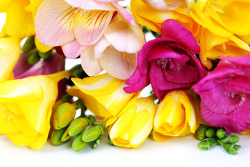 Obraz na płótnie Canvas freesia flowers