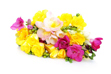 Obraz na płótnie Canvas freesia flowers