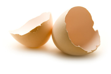 Eggshell on the white background