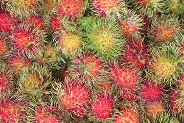 Rambutan