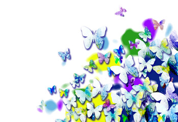 Obraz na płótnie Canvas Colorful background with butterflies