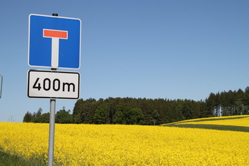 Rapsfeld