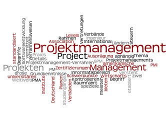 projektmanagement