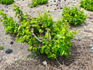 Vte storica, isola di Santorini in Grecia