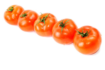 Tomato
