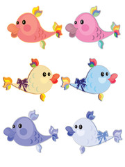 set fish