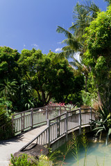 Fototapeta na wymiar Most nad stawem, ogród botaniczny, Gwadelupa