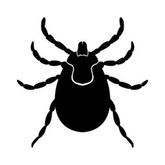 Kleszcz 01 - vector