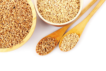 Wheat in plates isolated on white