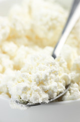 Cottage cheese close-up