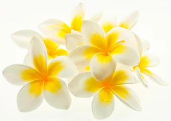 Foto op Canvas heilige frangipani bloemen © Unclesam