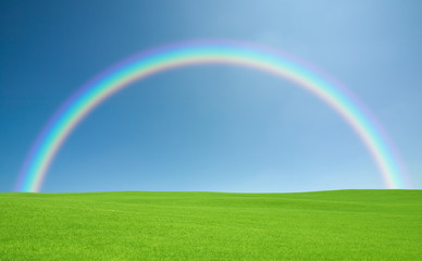 Obraz premium Green grass and sky