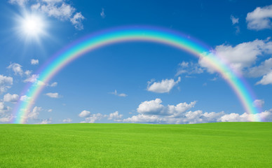 Naklejka premium Green field and rainbow