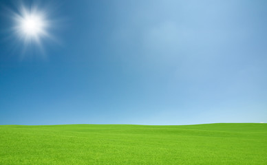 Fototapeta na wymiar Green grass and sky