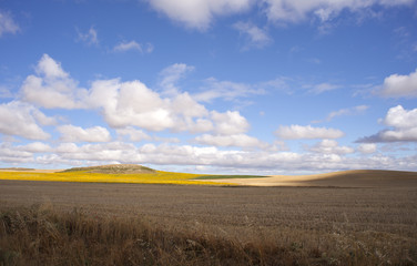 Campo dopo la trebbiatura