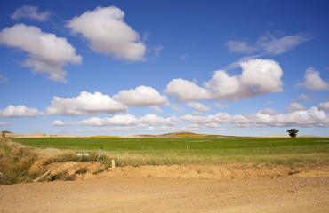 Obraz premium Campagna