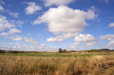 Campo