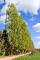 Obraz premium natural landscape