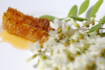 Akazienhonig  Biohonig Serie Zutaten Herstellung