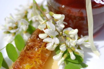 Akazienhonig  Biohonig Serie Zutaten Herstellung