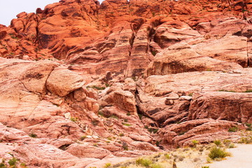 Red Rock Canyon Walls Rising out of Desert