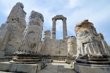 Aux ruines du temple d'apollon &agrave; Didymes