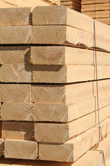 holz