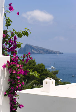 panarea