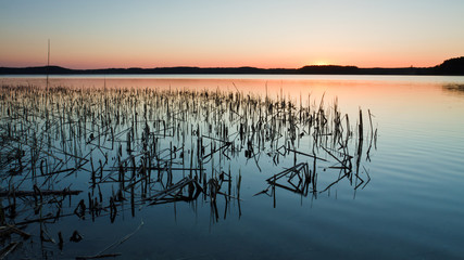 Lake with Reeds at Sunset