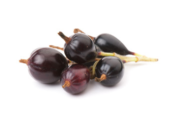 Ribes  nidigrolaria