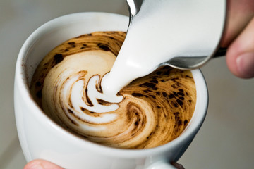 Latte Art - Milch eingießen/Farnblatt