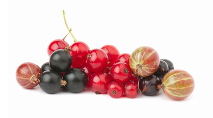 currant