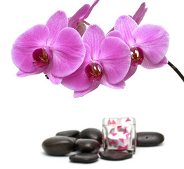 Pink orchid and zen Stones with a candle