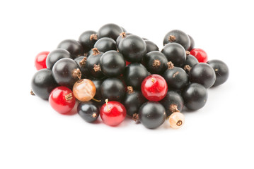 currant