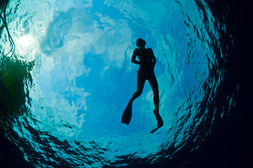 Silhouette of an attractive female snorkeler