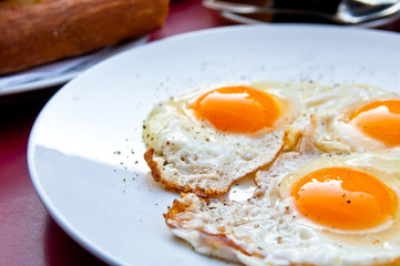 Prepared Egg