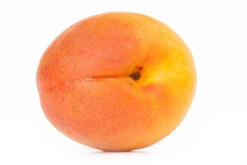 apricot