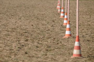 Pole bending path