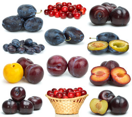 Set of different plums