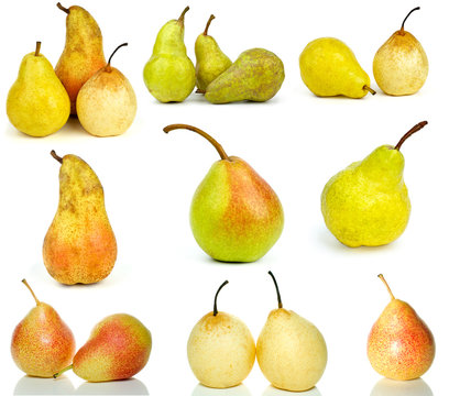 Set of different pears