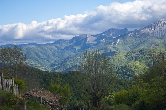 Subiendo a la ermita de Alba