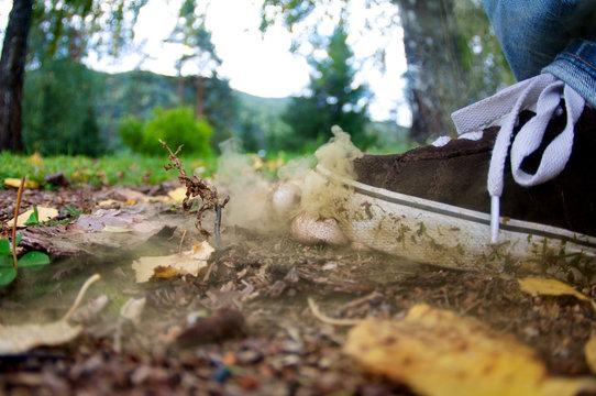 A shoe stomping on a group of puffballs